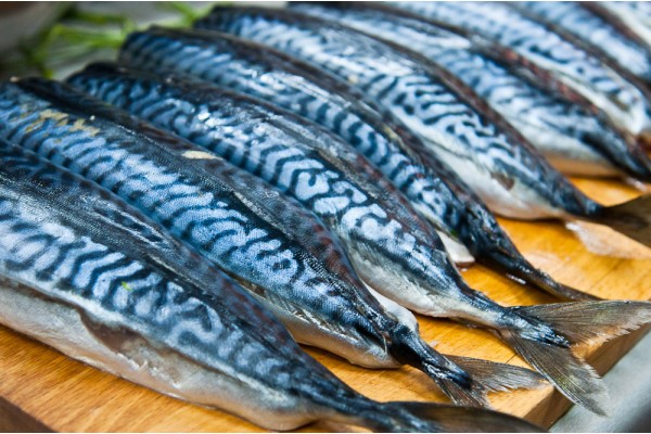 Скумбрия атлантическая потрошеная без головы, 1 кг