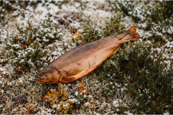 Форель ладожская горячего копчения потрошеная с головой, 600 г