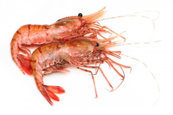 Креветка гребенчатая сыромороженая, 500 г