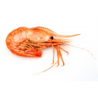 Креветка гребенчатая варено-мороженая, 1 кг