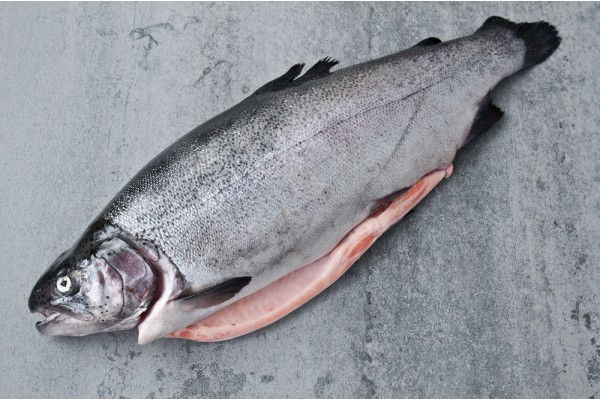 Форель ладожская охлажденная потрошеная с головой, 2,1 кг