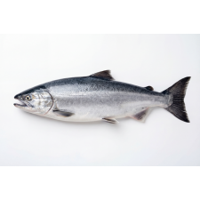 Кета свежемороженая потрошеная с головой морской заморозки, 2 кг Кета свежемороженая потрошеная с головой морской заморозки, 2 кг