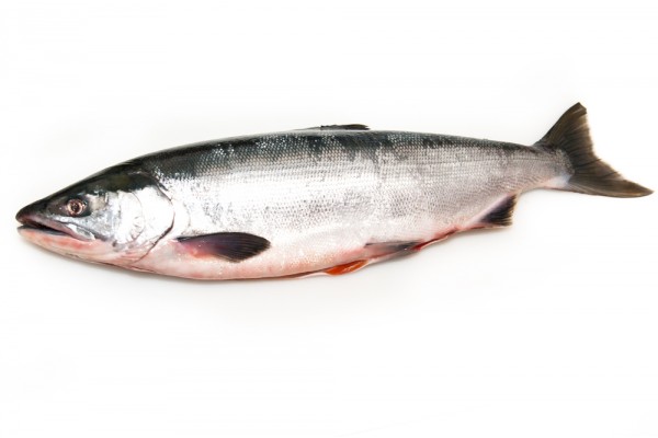 Нерка свежемороженая потрошеная c головой, 1,8 кг