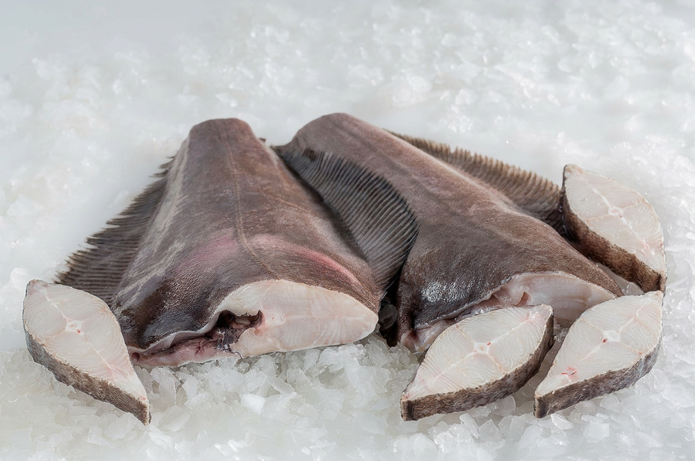 Нежнейший синекорый палтус во всех ипостасях