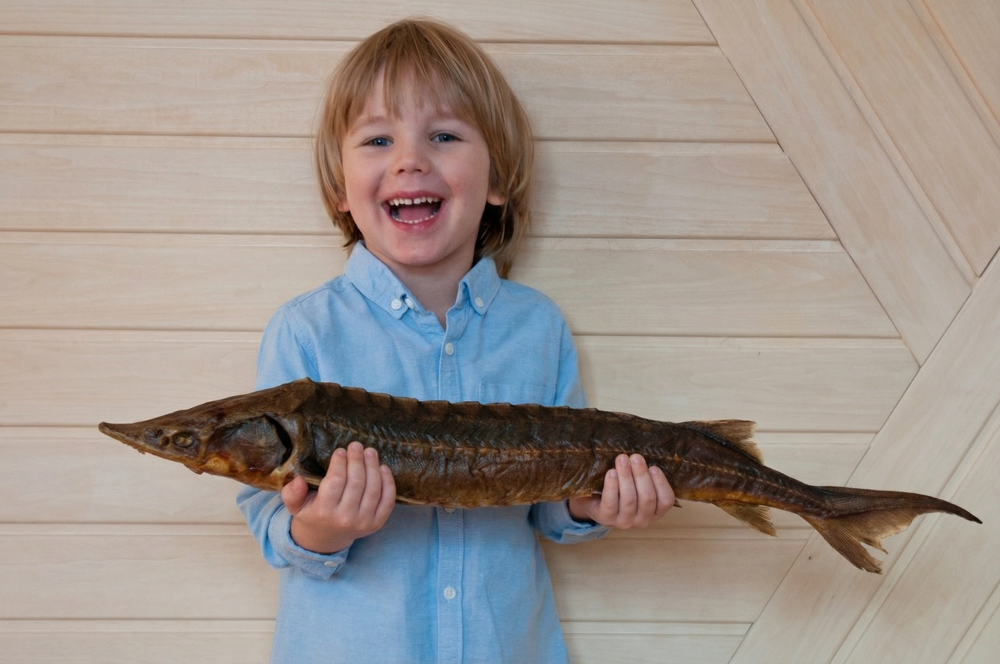 Стерлядь горячего копчения на натуральной ольховой щепе