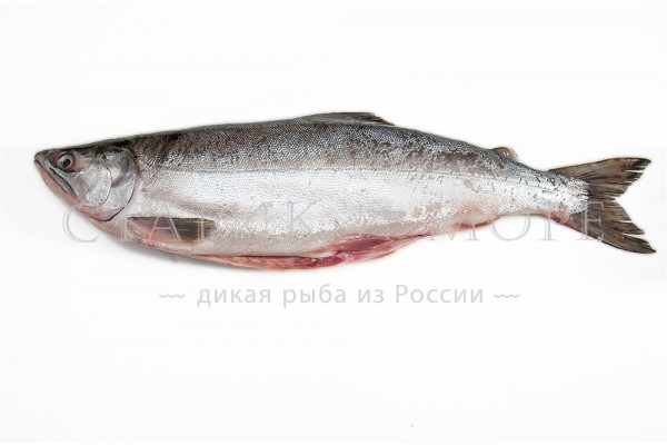 Горбуша свежемороженая неразделанная, 1 кг