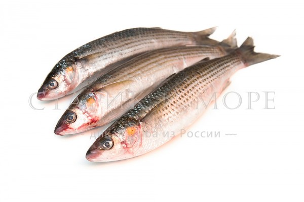 Кефаль черноморская свежемороженая, 1 кг